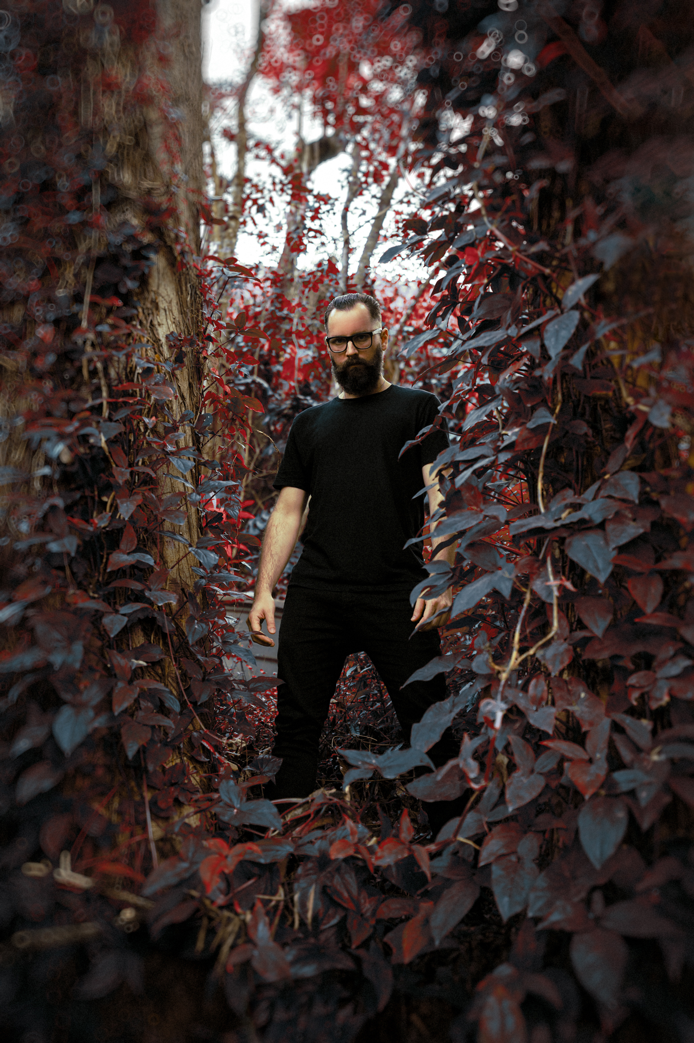 Photo by @triphotosdigital 5